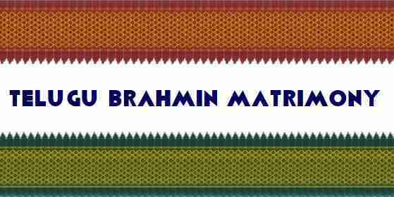 brahmin website